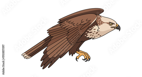 Majestic predatory bird with intricately detailed brown feathers and piercing gaze captured in a dynamic pose against a pristine white background