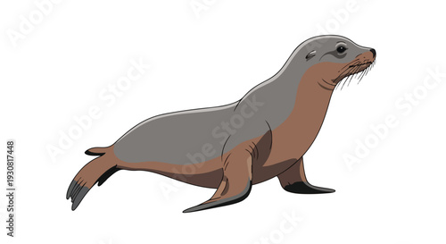 Stylized marine mammal with gray and brown fur, depicted with simplistic lines against a white background