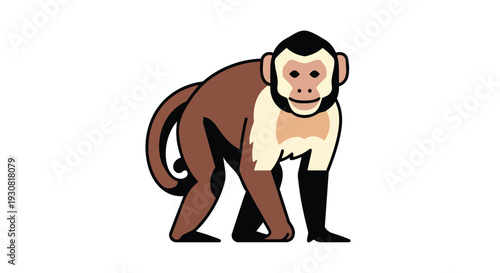 Stylized illustration of a capuchin monkey with simplified forms and bold colors, isolated on a white background