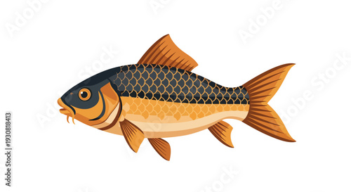 Stylized illustration of a single carp fish with detailed scales and fins, set against a clean white background for graphic design purposes