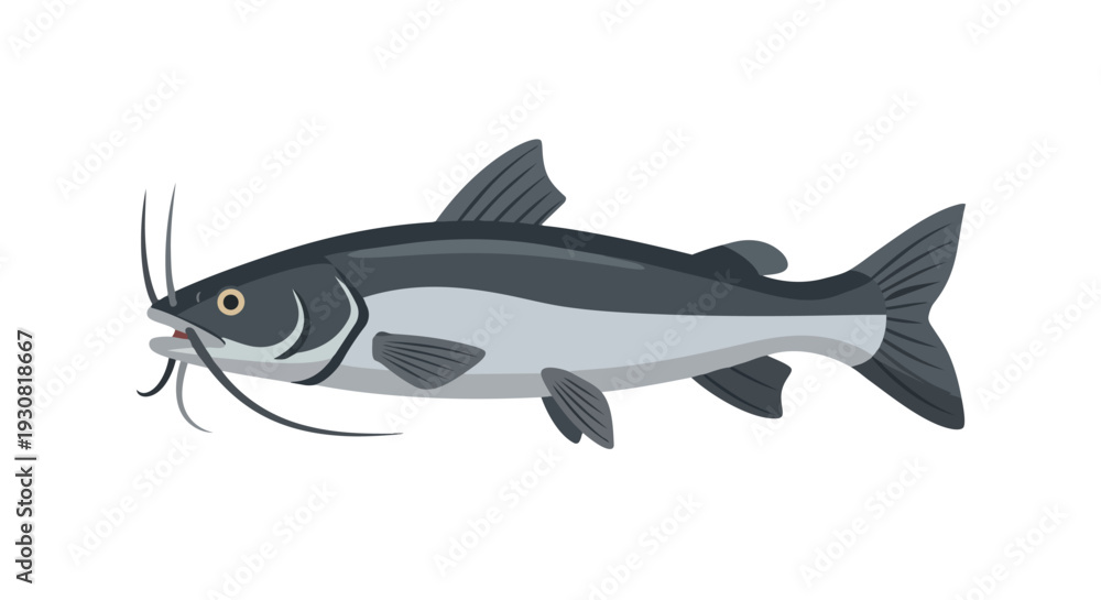 Fototapeta premium Stylized illustration of a catfish featuring prominent barbels and distinct fins, presented on a clean white background.