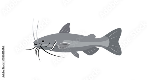 A simplified illustration of a grey catfish with prominent barbels and fins, isolated on a plain white background, representing aquatic life in a