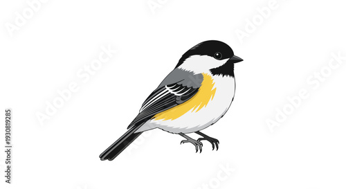 A charming black-capped chickadee with striking yellow and gray plumage, depicted in a clean, isolated illustration on a white background.