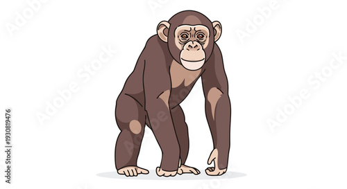 A stylized illustration of a chimpanzee standing on a white background, conveying a sense of curious observation and primate intelligence in a