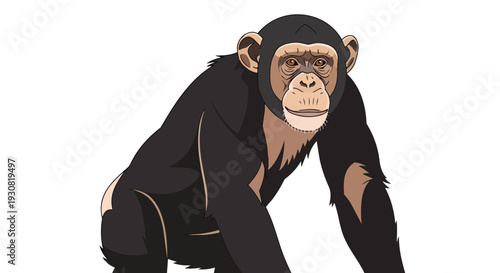 A detailed animated chimpanzee character illustration with realistic facial features and dark fur against a clean white background