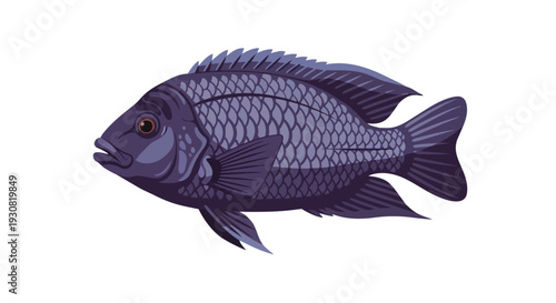 A striking illustration of a solitary purple fish with detailed scales, presented against a pristine white backdrop for maximum visual impact