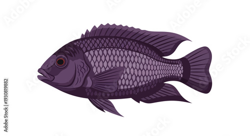 A stylized illustration of a regal purple tilapia fish rendered with intricate scale patterns and fin details against a stark white backdrop