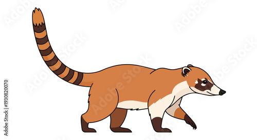 Charming cartoon illustration of a coati with a long, ringed tail walking on a white background, a delightful depiction of this unique mammal