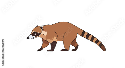 Illustration of a playful coati with a long striped tail walking on a white background, capturing its natural curiosity and agile movement