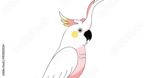 Cartoon illustration of a bright pink and white cockatoo with a distinctive crest and yellow cheek patch, displayed against a clean white background.