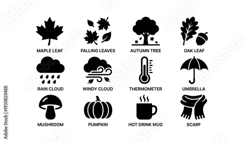 Autumn symbols: leaves, tree, weather, food, clothing icons