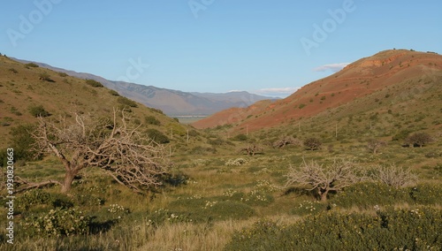 Landscape View of Hills and Dry Trees in a Valley During Sunset in the Rocky ...