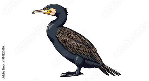 Stylized illustration of a dark-plumed waterbird with sharp beak and watchful green eyes, depicted in profile against a pure white background