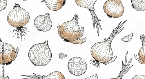 Illustration of Various Onions and Garlic.