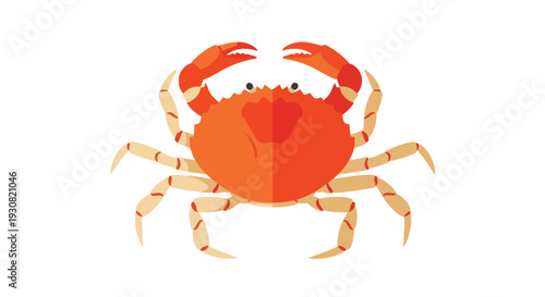 A charmingly simplified cartoon illustration of a bright orange crab with its claws raised and legs spread on a white background.