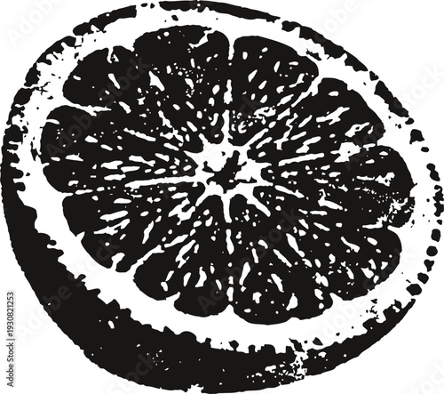 Black ink drawing of a sliced citrus fruit half, detailed textured orange or lemon segment