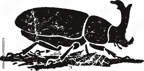 Black rhinoceros beetle illustration vintage insect drawing with horn and segmented body on textured background