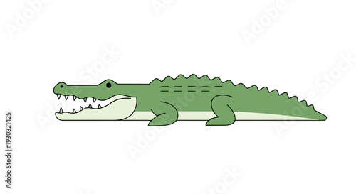 A charming cartoon illustration of a green alligator with its mouth open, showcasing sharp teeth and a friendly expression on a clean white