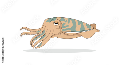 A charming cartoon illustration of a cuttlefish with unique camouflage patterns adorning its mantle, ready to explore aquatic realms.