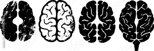 black and white brain illustrations set scientific sketch of human cerebrum top view medical anatomy concept