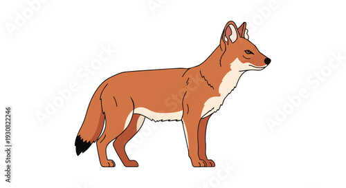 Stylized illustration of a cunning canine with amber fur standing poised against a blank canvas
