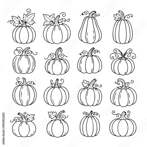 Collection of Hand Drawn Outline Pumpkins and Gourds with Swirls and Leaves for Autumn and Halloween