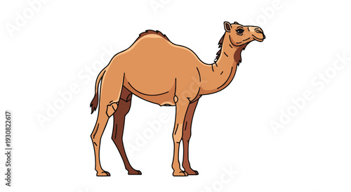 Illustrative depiction of a lone dromedary camel against a stark white background, emphasizing its distinct features and iconic silhouette