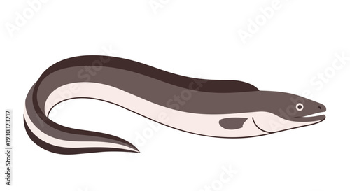 A simple and charming cartoon illustration of a slender, elongated eel with a sleek, segmented body and distinct dark stripes
