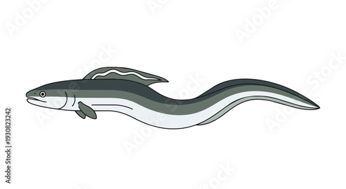 Stylized illustration of a sleek gray eel gracefully undulating against a stark white background, showcasing its serpentine form