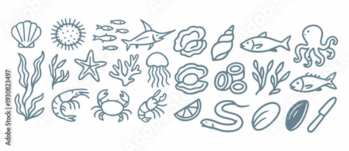 Ocean Marine Life Icons Set – Hand Drawn Sea Animals and Underwater Elements Illustration