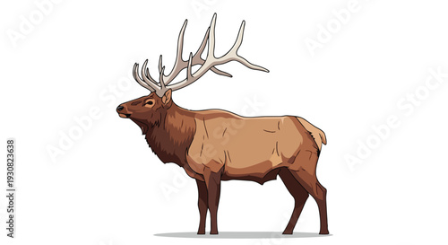 Majestic illustration of a bull elk with impressive antlers stands proudly against a clean white backdrop