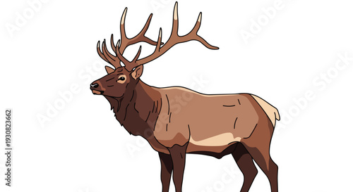 Majestic elk illustration with impressive antlers, a powerful symbol of wilderness and natural beauty captured in a clean graphic style.