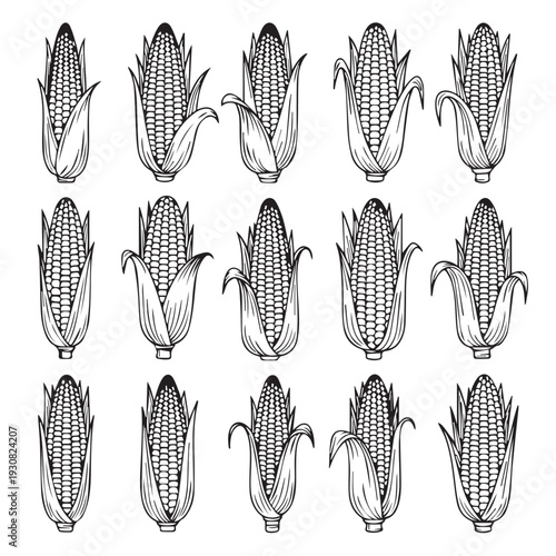 Corn Cobs Pattern Fresh Maize Kernels with Husk Hand Drawn Style Stock Illustration