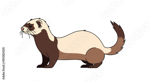 A Stylized Illustration of a Ferret in Profile, Showcasing its Distinctive Coloration and Sleek Form Against a Plain White Backdrop