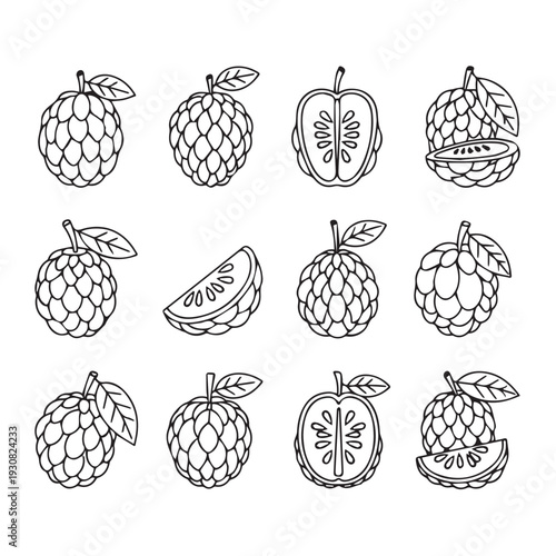 Custard Collection: Whole Halved Sliced Fruit Icons in Outline Style