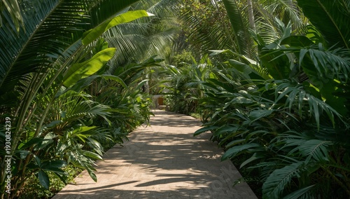 Lush Pathway Lined With Green Plants Under Sunlight at a Tropical Location