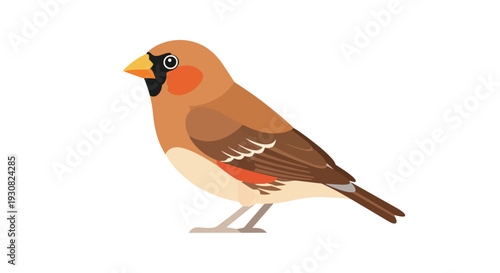 Stylized illustration of a small brown bird with orange accents and a yellow beak isolated on a white background
