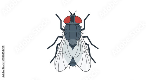 Stylized Flat Illustration of a Common Housefly with Bold Red Eyes and Translucent Wings Centered Against a White Background
