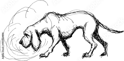 sketch of a dog sniffing the ground hand drawn black line illustration of a hunting scent tracking dog in action