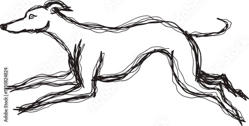 Sketch of a running greyhound dog with fluid, dynamic lines and slender body silhouette