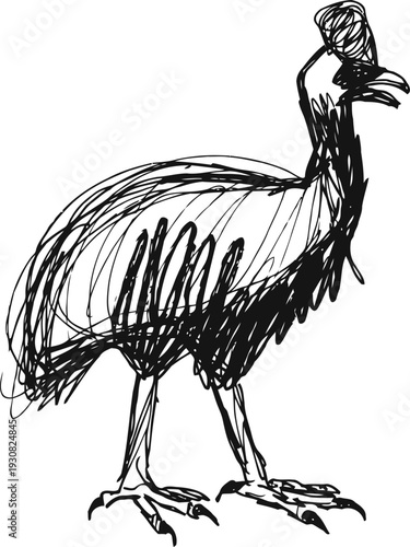 hand drawn sketch of a guinea fowl bird with distinctive crest and detailed plumage lines
