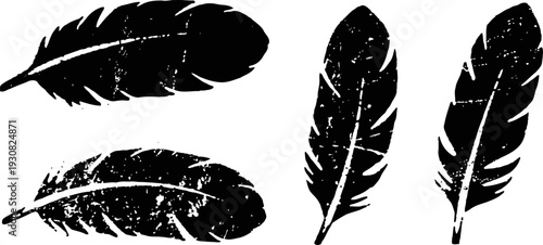 set of four black grunge bird feathers with textured vintage distressed appearance