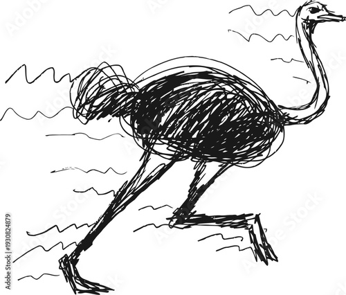 Black sketch of ostrich bird running fast with long neck and legs in dynamic motion