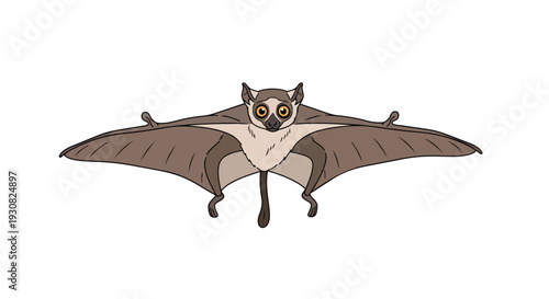 Whimsical cartoon illustration of a gliding lemur showcasing its wide patagium and large expressive eyes