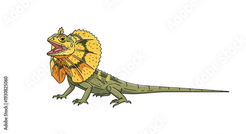 Striking illustration of a frilled lizard displaying its distinctive neck frill against a clean white background