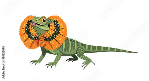 An animated frilled lizard displays its vibrant orange neck frill with striking black and yellow markings against a clean white background