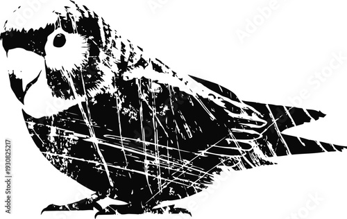 Black and white parrot vector illustration with textured grunge effect, tropical bird sketch art design