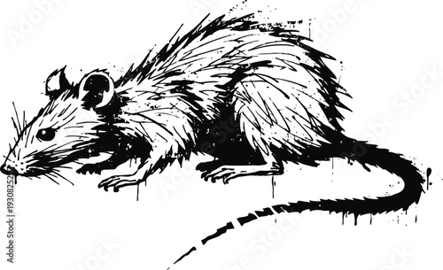 Black ink sketch of a rat with long tail and detailed fur, side view, hand drawn rodent illustration