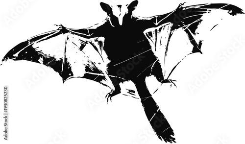 Silhouette of a flying bat with outstretched wings on white background