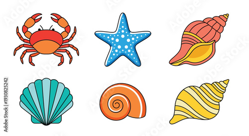 Colorful marine life illustration featuring a crab starfish and seashells